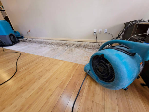 Professional Basement Flood Cleanup technician working in Oakwood, PA